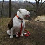 Profile Picture of Michael McMartin (@michaelmcmartin) on Instagram