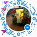 Profile Picture of Robert Dobies (@robert.dobies.127) on Facebook