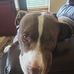 Profile Picture of Randy Gillis (@randy.gillis.96) on Facebook
