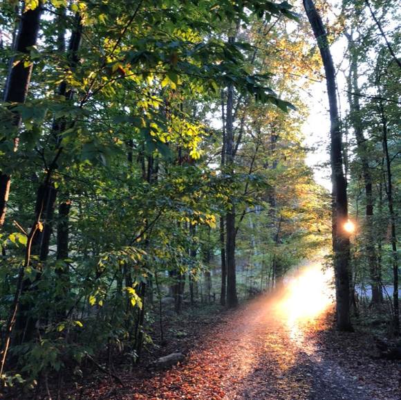 Profile Picture of Vanessa Kasson (@vkasson2680) on Poshmark