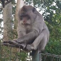 Profile Picture of Ian Liston (@ian-liston-7) on Quora