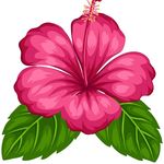 Profile Picture of Sonia Francois (@sonia.francois.908347) on Instagram