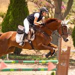 Profile Picture of Paulina Rosales Galvez (@paulinarg772) on Instagram