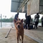 Profile Picture of Greg Kuder (@Greg-Kuder) on Facebook