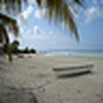 Profile Picture of Cathie H (@cathie h) on Flickr