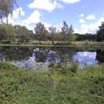 Profile Picture of Cutray Spoon (@cutrayspoon) on Instagram