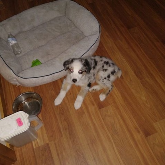 Profile Picture of Audean Welch (@audeanwelch) on Poshmark