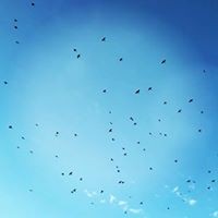 Yevgeniya Alexandrovna Yushkova - Quora Profile Picture of Yevgeniya Alexandrovna Yushkova (@yevgeniya-alexandrovna-yushkova) on Quora