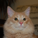 Profile Picture of %u0421%u0435%u0440%u0433%u0435%u0439 %u0413. (@Sergey Grm) on Flickr