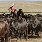 Profile Picture of Kacy Wicks (@kacy.wicks) on Facebook