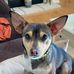Profile Picture of Bert Jones (@bert.jones.9235199) on Facebook