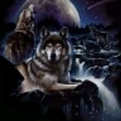 Profile Picture of Sabrina Wade (@Tigarpaw) on Twitter