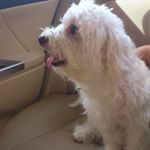 Profile Picture of Jeremy Liew (@jeremyliew0000) on Instagram