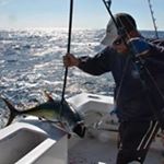 Profile Picture of Brian A Behe (@brian_behe) on Instagram