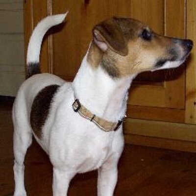 Profile Picture of Jan Kubik (@KubikJan) on Twitter