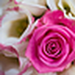 Profile Picture of James Marsh Wedding Photographer (@James Marsh Wedding Photographer) on Flickr