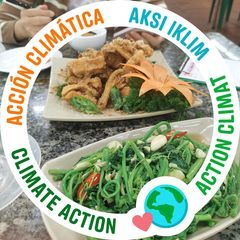 Profile Picture of 楠钵 (@wenhuihuang06) on Tiktok