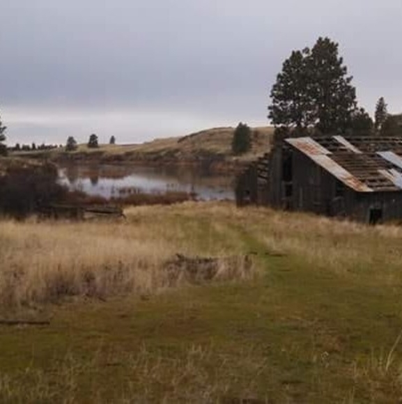 Profile Picture of Danny Nichols (@mopar4nichols) on Poshmark