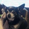 Profile Picture of Debbie Markowski (@@debbiemarkowski27) on Tiktok