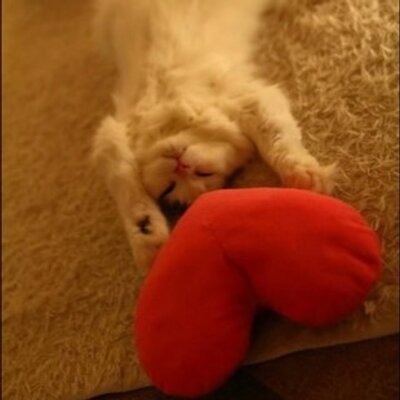 Profile Picture of Jo McArdle (@JoMcLovely) on Twitter