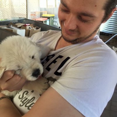 Profile Picture of Matthew Chisholm (@SchrutedIt12) on Twitter