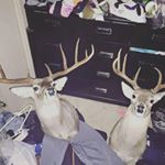 Profile Picture of Dalton Taylor (@dalton6315) on Instagram