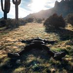 Profile Picture of Zachary James Marcellino (@marcel.visuals) on Instagram