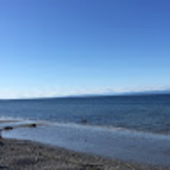 Profile Picture of Aileen Johnstone (@aileenjohnstone) on Poshmark