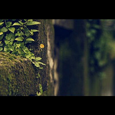 Profile Picture of Benjamin Halpin (@BenjaminHalpin) on Twitter