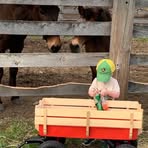 Profile Picture of Donna Grabarek (@donna.grabarek) on Facebook