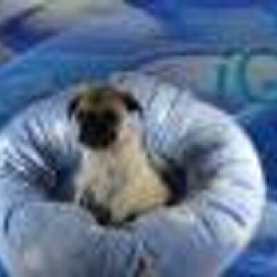 Profile Picture of Heather Laing (@HDLaing) on Twitter