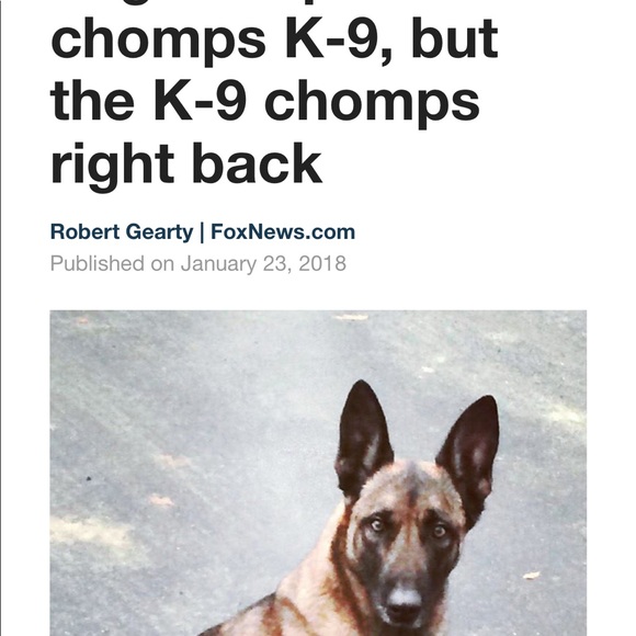 Profile Picture of Wei Zhang (@wzhang2) on Poshmark