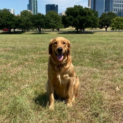 Profile Picture of Kyle Kennedy (@KyleKennedy711) on Twitter