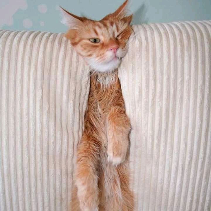 Profile Picture of Michael Llantero (@michaelllantero) on Tiktok
