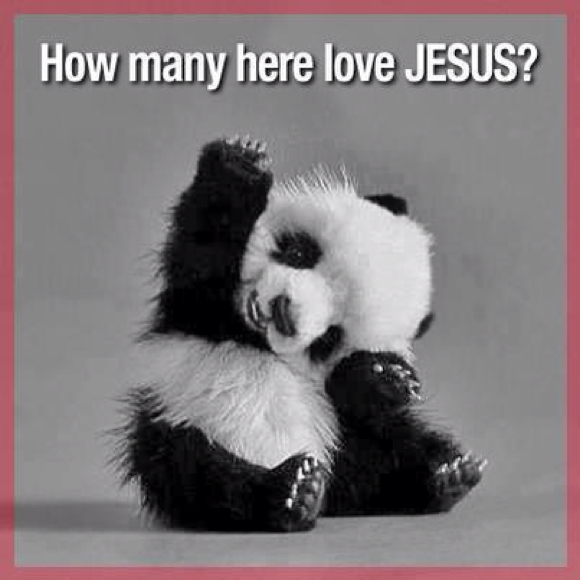 Profile Picture of Wendy Kleha (@wkleha) on Poshmark