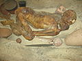 Profile Picture of Gebelein predynastic mummieson Wikipedia