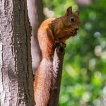 Profile Picture of makayla fleming (@fleming624bqzza) on Instagram