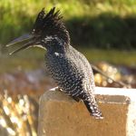 Profile Picture of Nancy Soller (@sollernancy) on Instagram