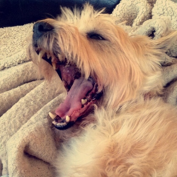 Profile Picture of Kate Pekarik (@pekarik) on Poshmark