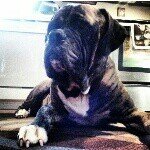 Profile Picture of drew ackerman (@drew_ackerman_01) on Instagram