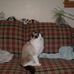 Profile Picture of Lorraine Schultz (@lorraine.schultz.967) on Facebook