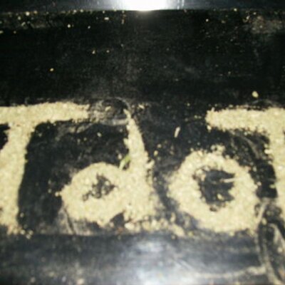 Profile Picture of Brian James Beal (@BigBealzy) on Twitter