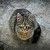 Profile Picture of Afrah Akhlaq Ahmed (@afrahakhlaq) on Pinterest
