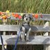 Profile Picture of Sandra MacDougall (@sandra.macdougall.756) on Facebook