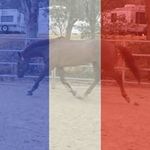 Profile Picture of Lori Carter Rall (@carterrall) on Instagram