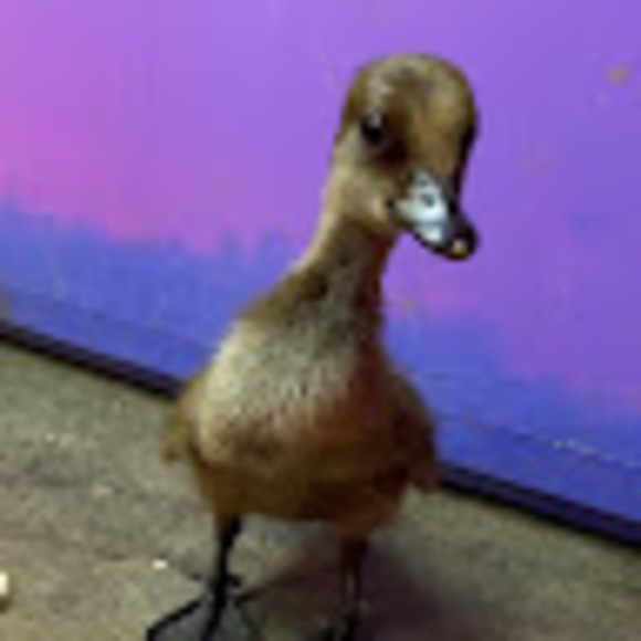 John paul Nicklaus - Poshmark Profile Picture of John paul Nicklaus (@john_nicklaus) on Poshmark