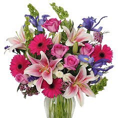 Profile Picture of Azalea Jones (@jones_azalea) on Twitter