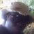 Profile Picture of LIVEWITHTECHNOS (@frantzfilsaime7) on Pinterest