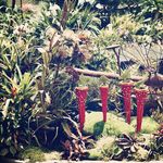 Profile Picture of Chau Novacek (@chaunovacek) on Instagram