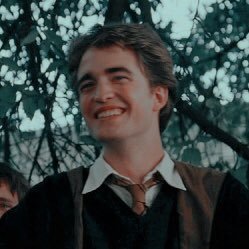 Profile Picture of Cedric Golden Boy Diggory 9¾ ⚯͛ (@Stop_Rewind_) on Twitter